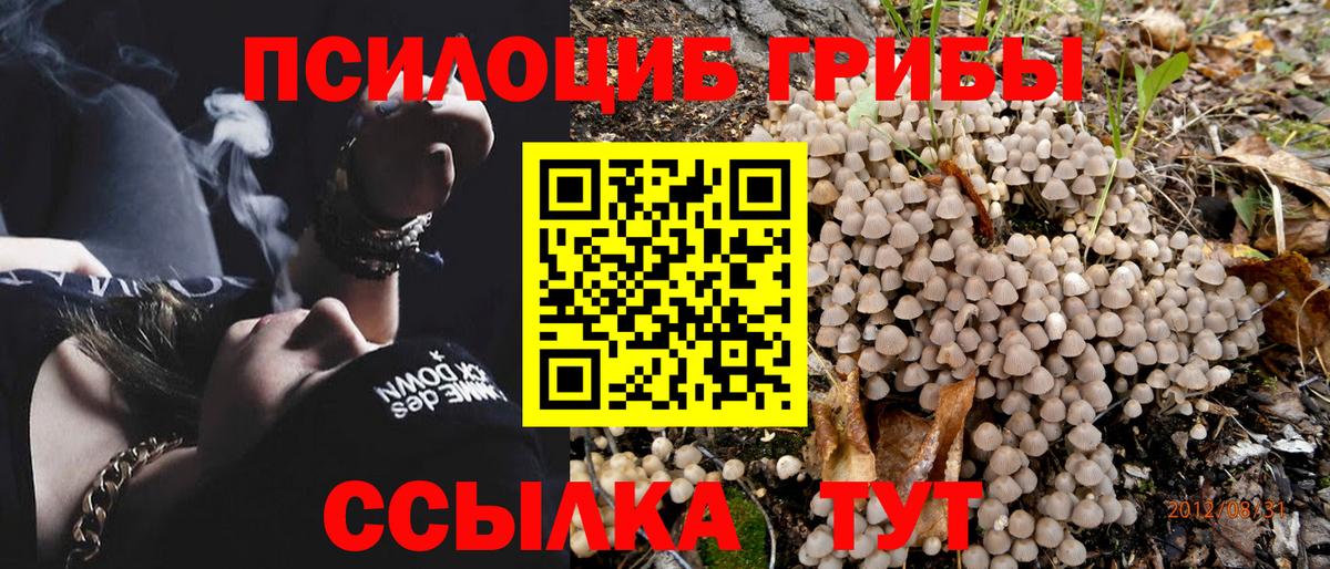 Ликино-Дулёво  Псилоцибиновые грибы Magic Shrooms  Вход с VPN  Галлюциногенные грибы Psilocybe 