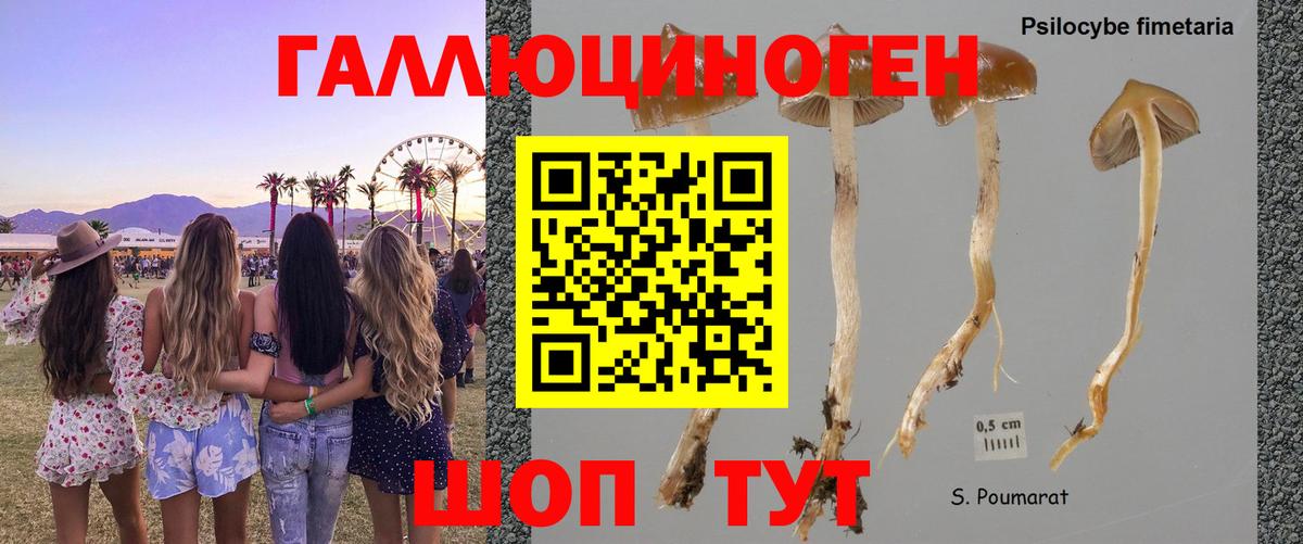 Галлюциногенные грибы MAGIC MUSHROOMS Ликино-Дулёво